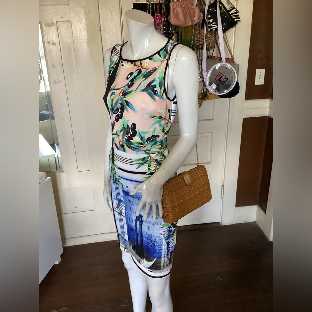 Clover Canyon picture dress